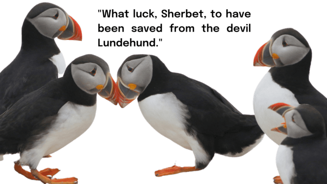 what-luck-puffins-talking